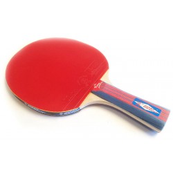 RAQUETTE DE PING PONG...