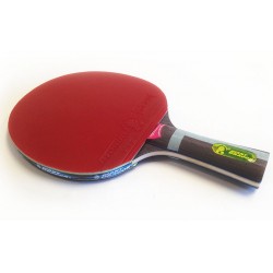 RAQUETTE DE PING PONG DE...