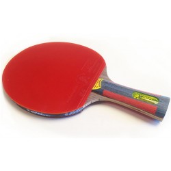 RAQUETTE DE PING PONG...