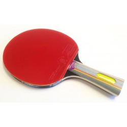 RAQUETTE DE PING PONG TOP...